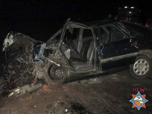 Семейная пара погибла на трассе Минск-Гомель в ДТП