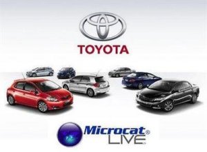 Каталог запчастей и аксессуаров Toyota Microcat Live 3 Mastertech 2013 год